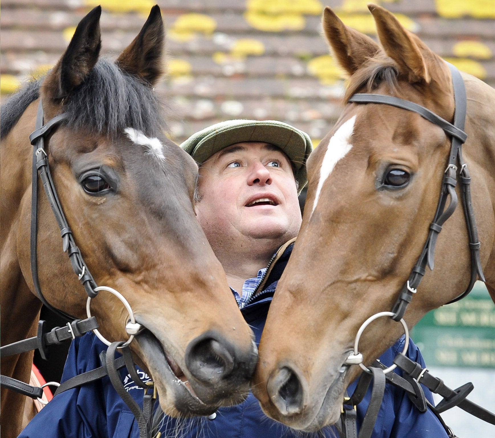 Champion trainer Paul Nicholls expects Zarkandar (left) and Silviniaco Conti to continue his winning legacy at Cheltenham