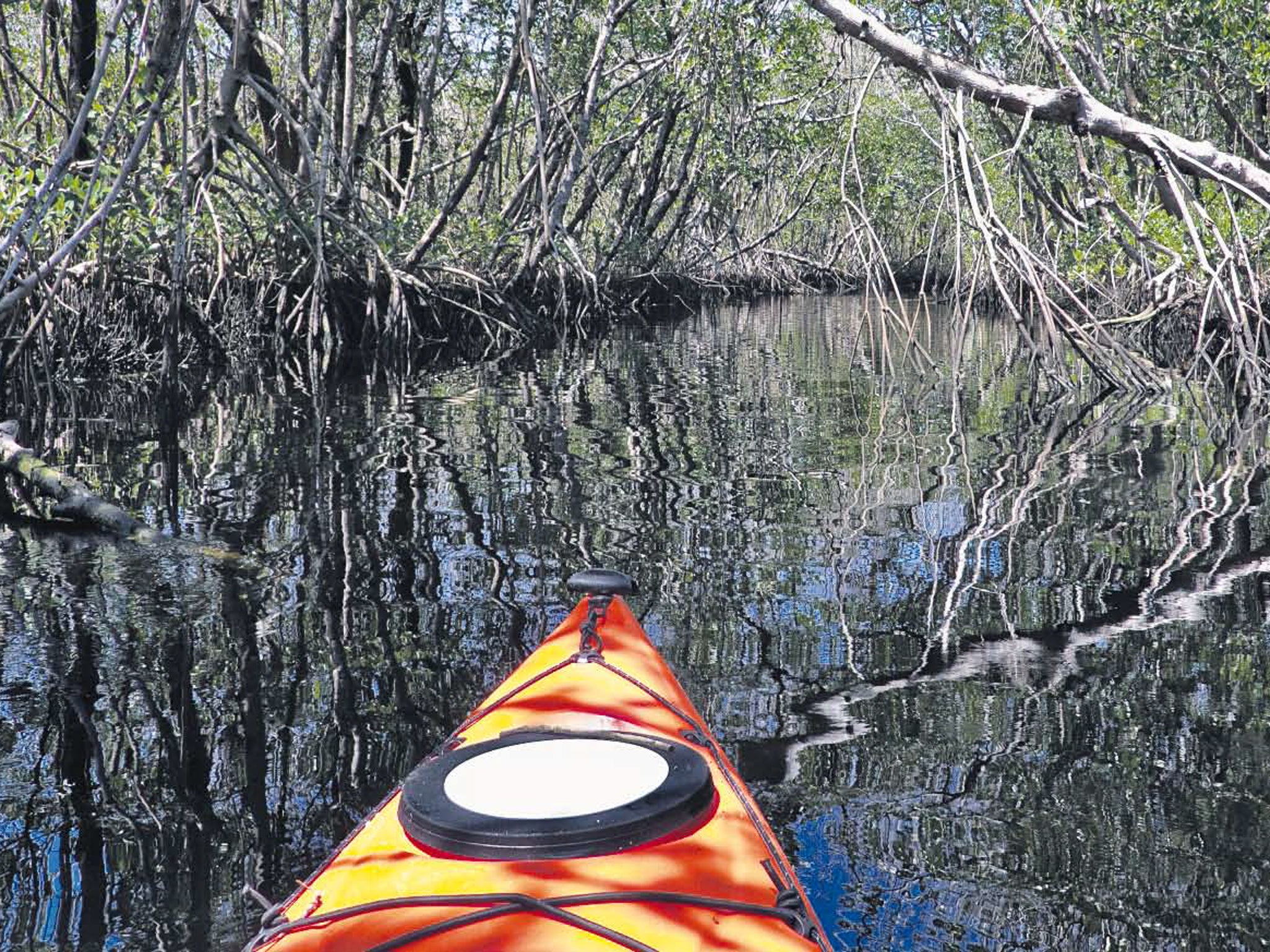 Gliding through the 'glades: Florida by boat