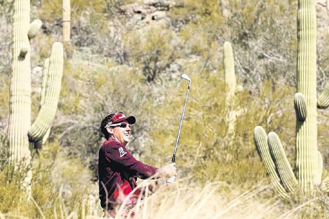 Wild west: Ian Poulter avoids the Arizona cactae with his tee shot on the 12th hole during his narrow second-round victory over American Bo Van Pelt