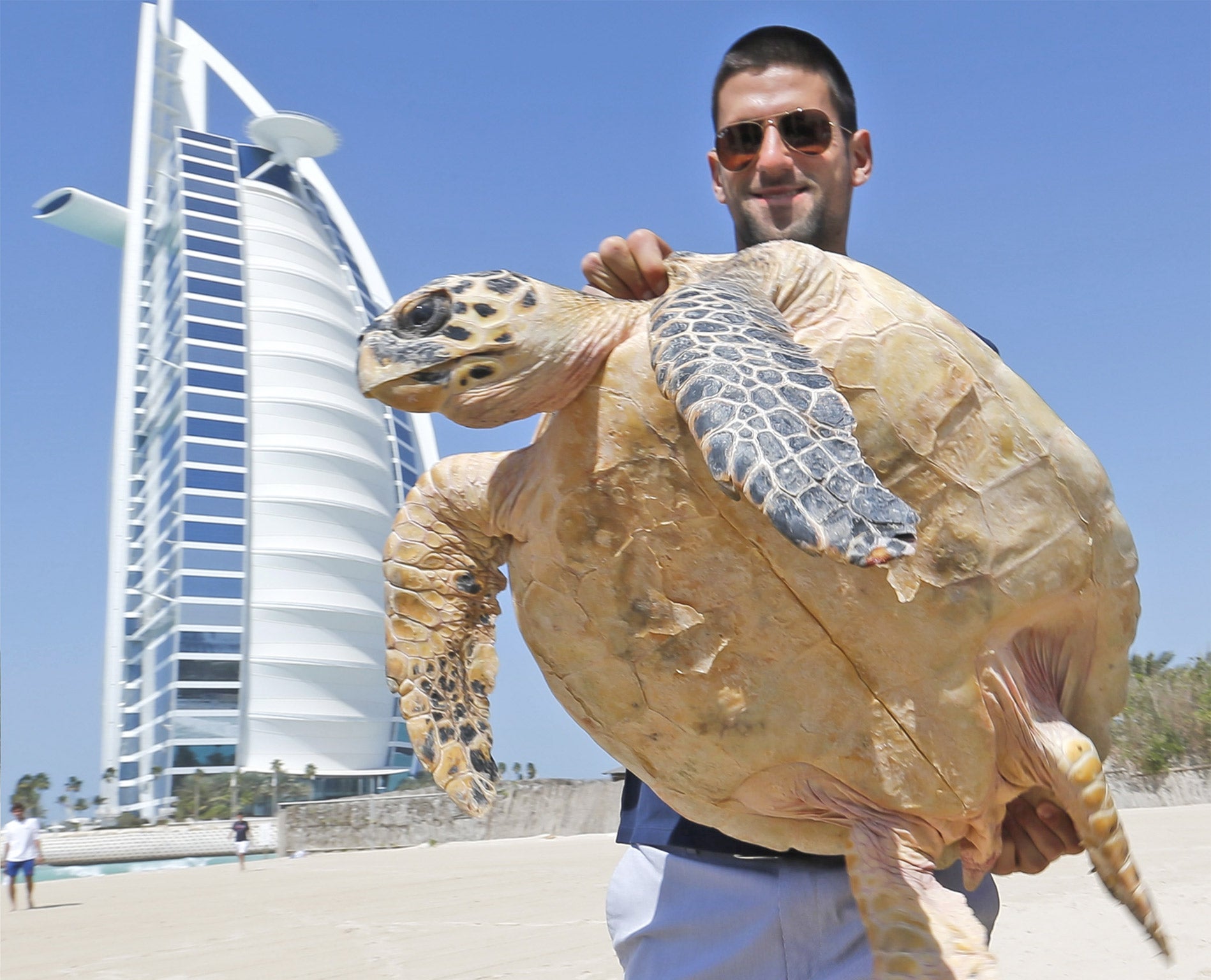 Relaxed Novak Djokovic poses with a hawksbill sea turtle in Dubai