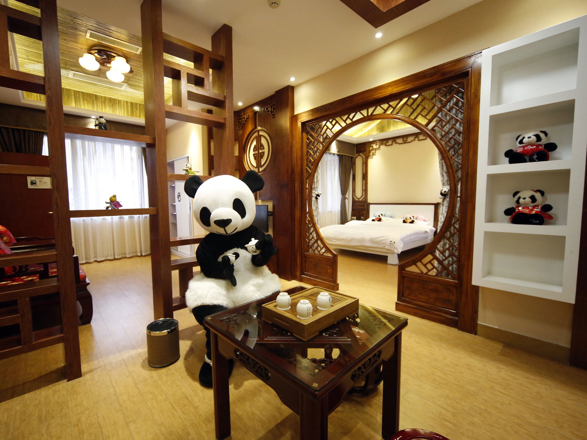 World's first panda hotel opens | The Independent