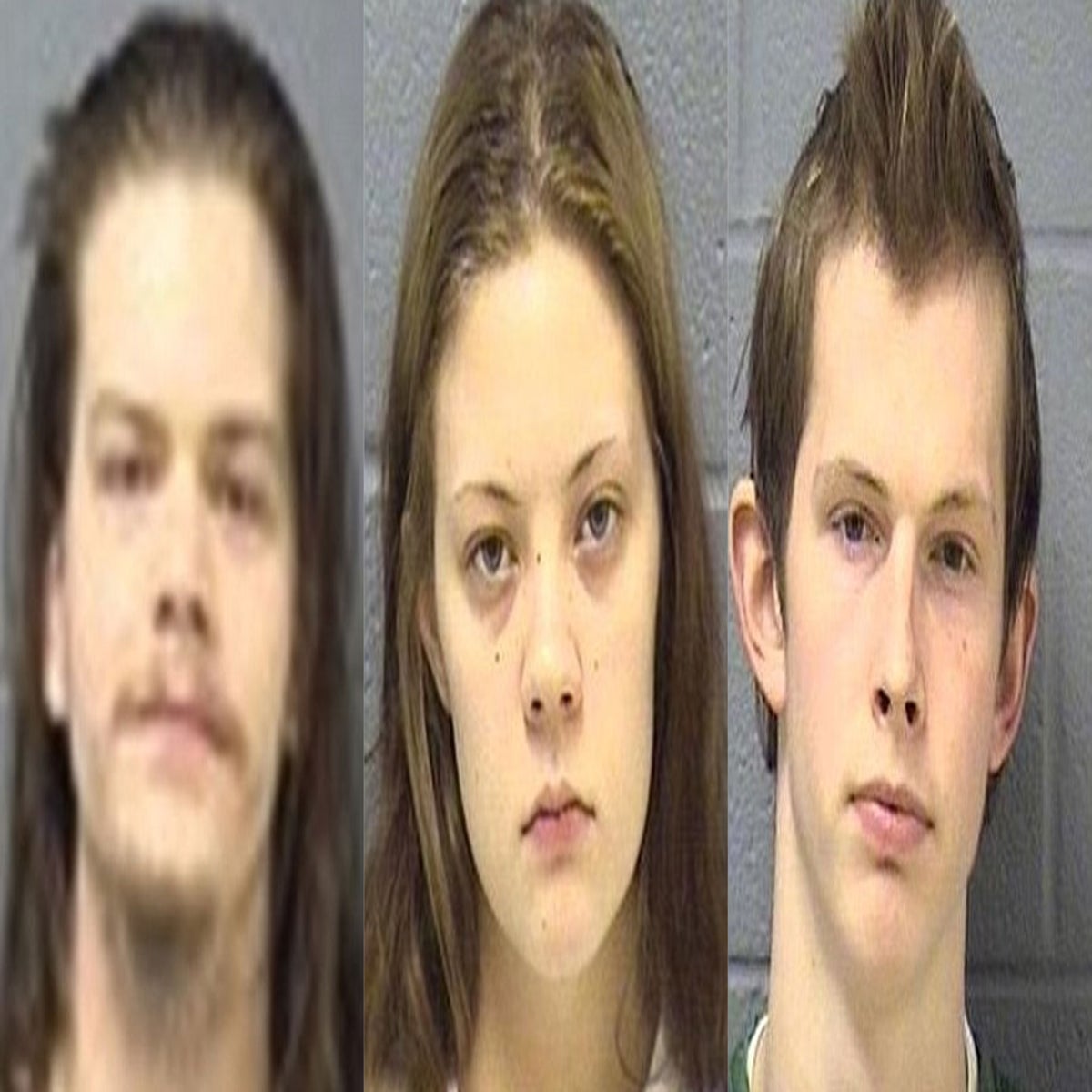 Necrophilia sex Necrophilia-obsessed' girl among double murder accused in three-way sex  case | The Independent | The Independent