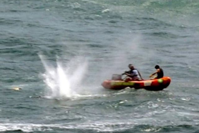 Police in inflatable rubber boats shoot at a shark off Muriwai Beach near Auckland as they attempt to retrieve a body following a fatal attack