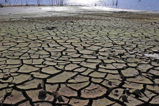 Cracked earth of the drought-stricken Portodemouros reservoir in northern Spain. Worldwide concerns about climate change have dropped dramatically since 2009