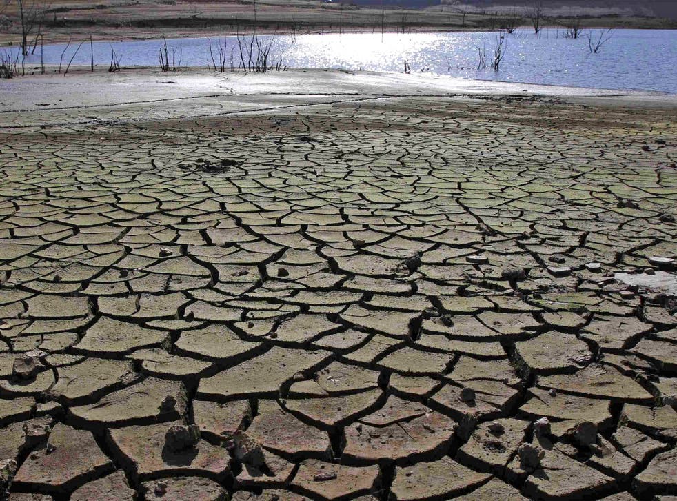 Cracked earth of the drought-stricken Portodemouros reservoir in northern Spain. Worldwide concerns about climate change have dropped dramatically since 2009