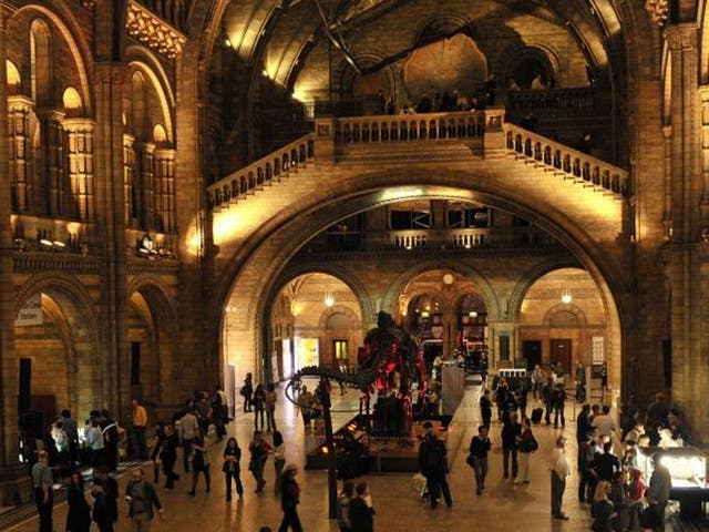 The theme of the Natural History Museum's Night Safari changes for each event, meaning you can delve deeper into your favourite aspect of natural history