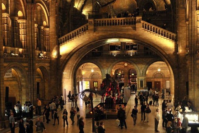 The theme of the Natural History Museum's Night Safari changes for each event, meaning you can delve deeper into your favourite aspect of natural history