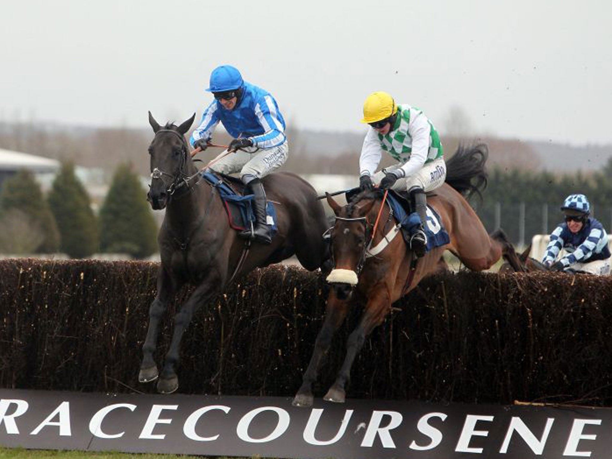 Silver Roque and Paddy Brennan (left) take the measure of Oscar Hill to land the two-mile Geoffrey Gilbey Handicap Chase at Newbury yesterday