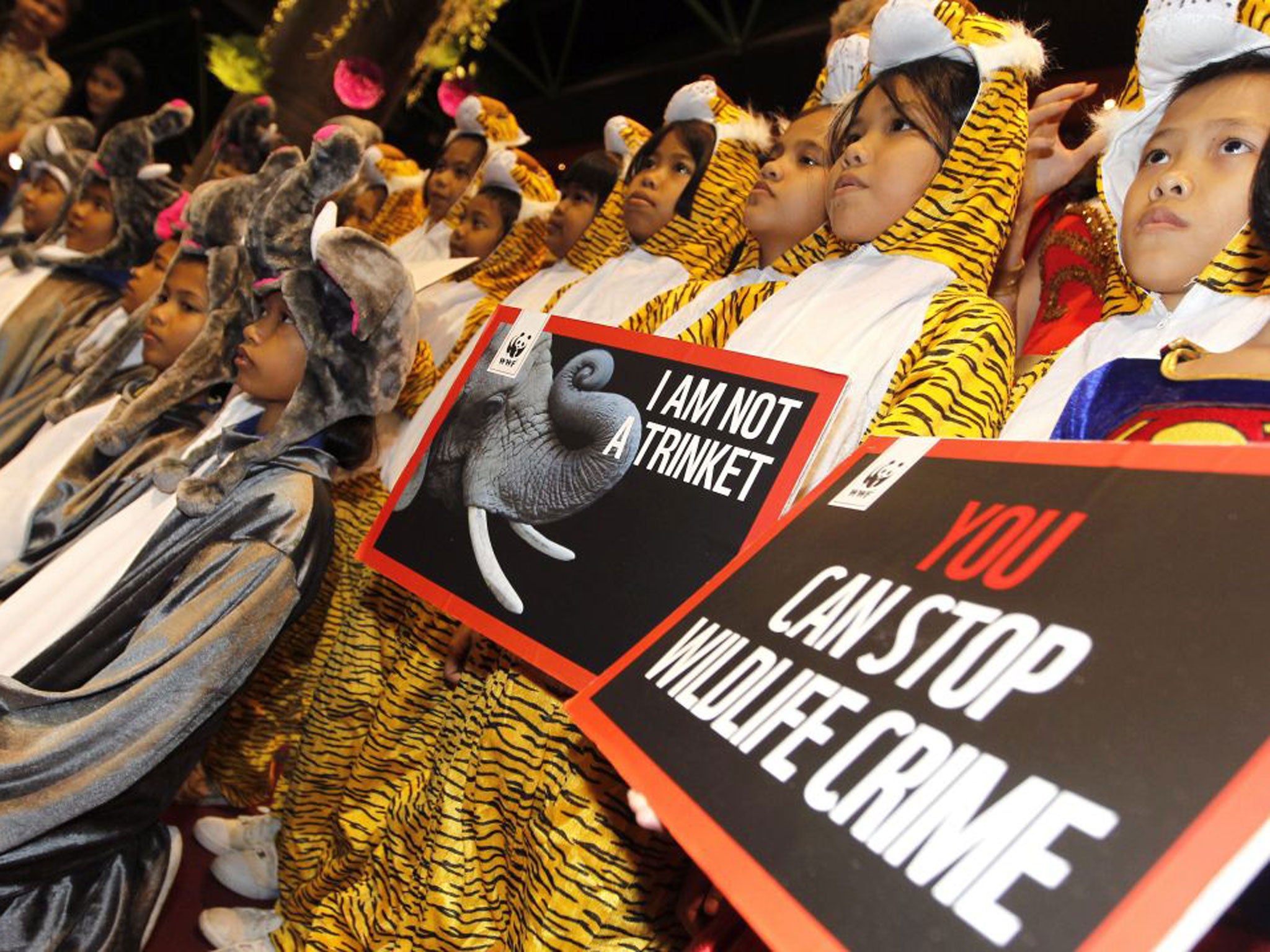 Thai children dressed as elephants and tigers at the Cites conference in Bangkok