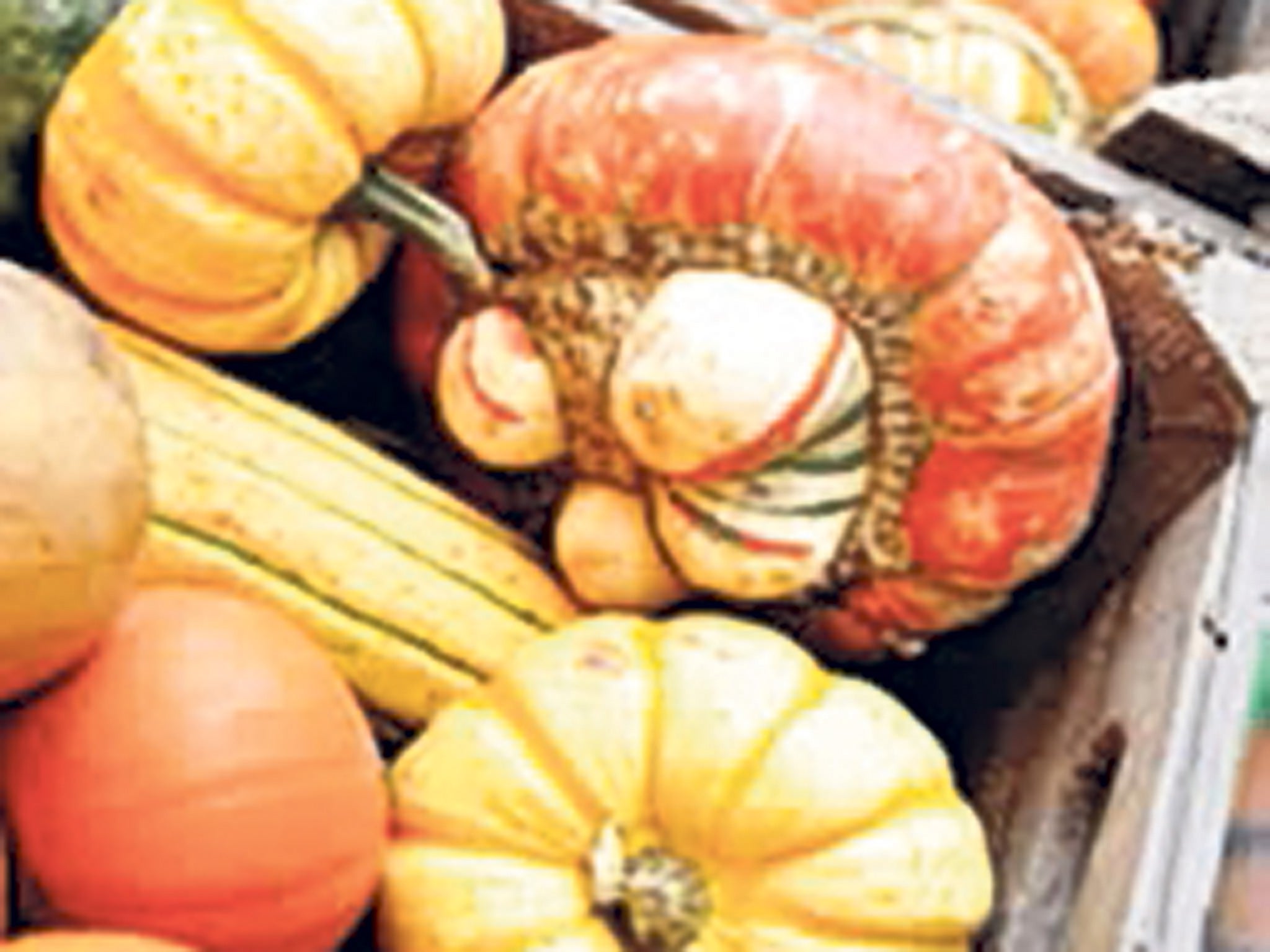 <p><strong>{1} Stroud Farmers' Market, Gloucestershire</strong></p>
<p>The inspiration for Katie Fford's novel Paradise Fields and a regular feature on TV cooking shows, this is a bit like the celebrity of farmers' markets. It is one of the biggest and busiest of its kind yet the produce remains incredibly local; all from a 17-mile radius. </p>
<p>Every Saturday, 9am–2pm,  <a href="http://fresh-n-local.co.uk" target="_blank">fresh-n-local.co.uk</a></p>