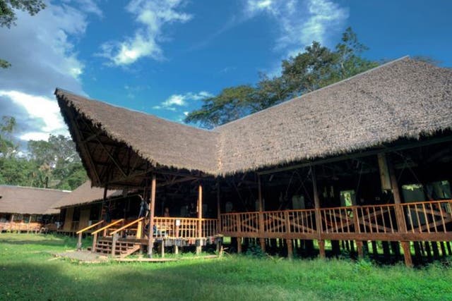 Wild world: Tambopata Research Centre