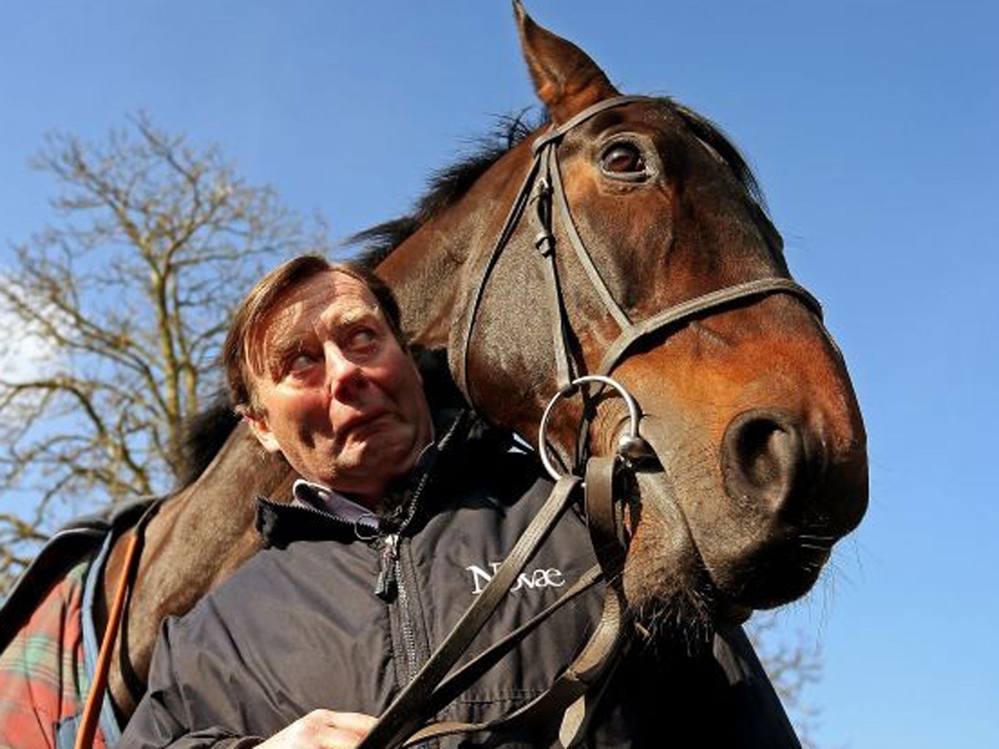 Head turner: Trainer Nicky Henderson with Sprinter Sacre. ‘He is a model racehorse... and such a dreadful show-off’