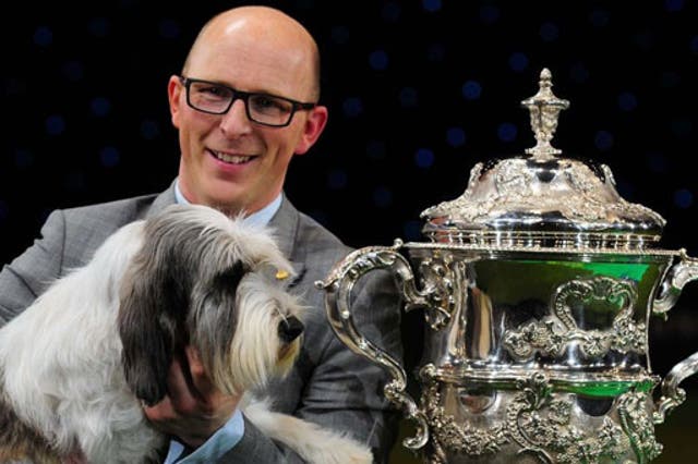 Jilly beat more than 20,000 other dogs to take the coveted Crufts title