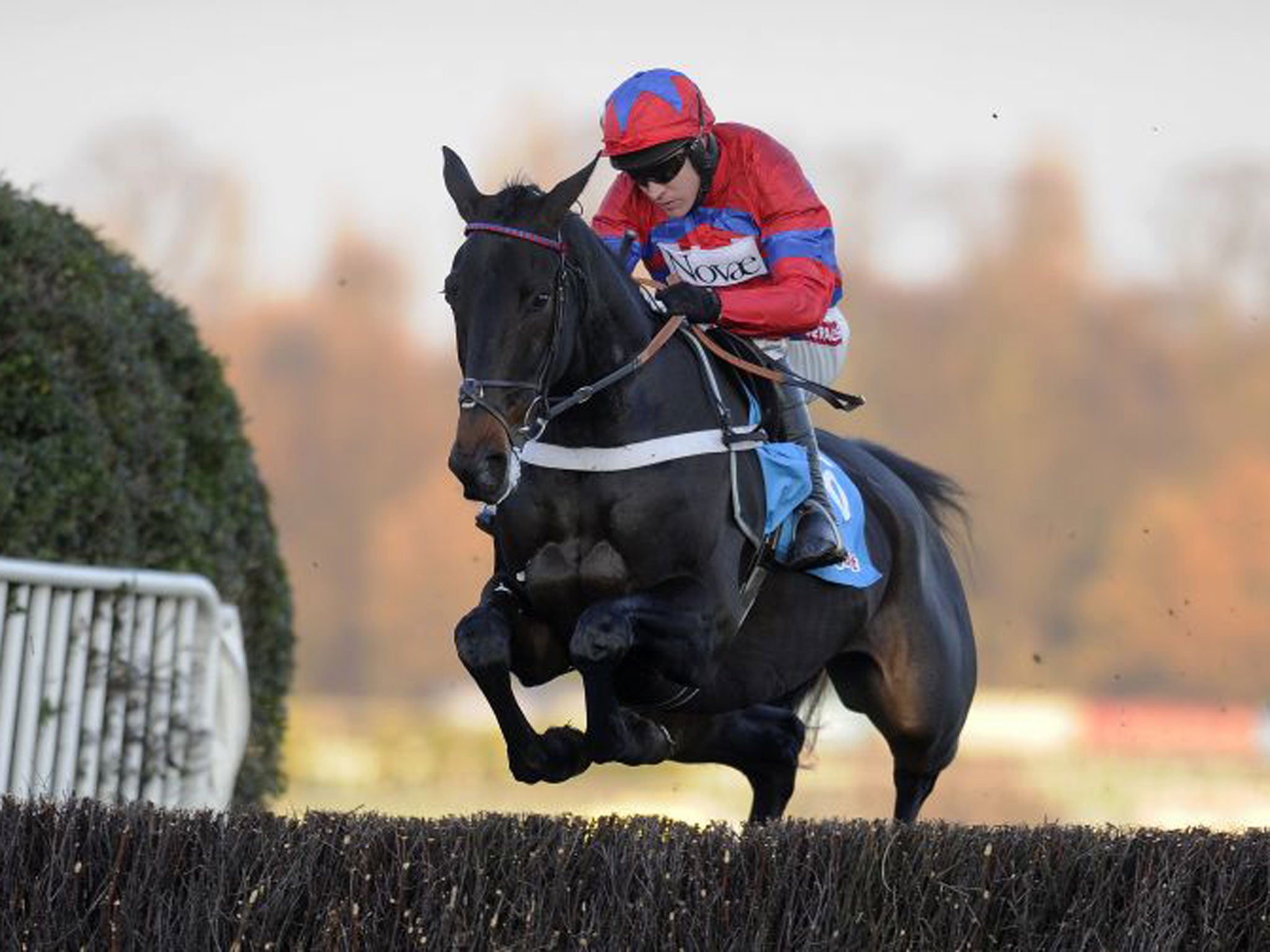 Sprinter Sacre is long odds-on favourite for the Queen Mother Champion Chase