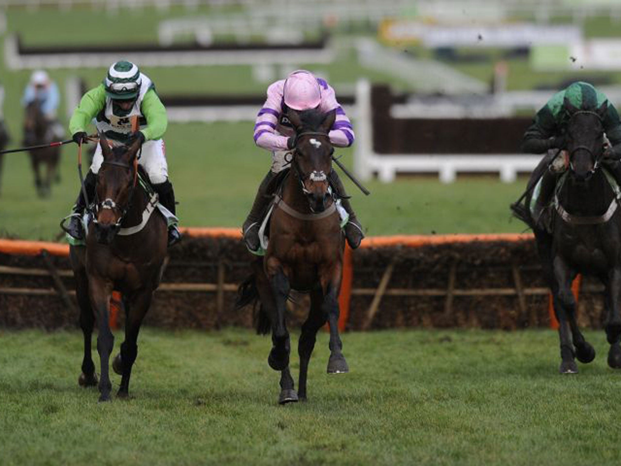 Zarkandar wins at Cheltenham back in December