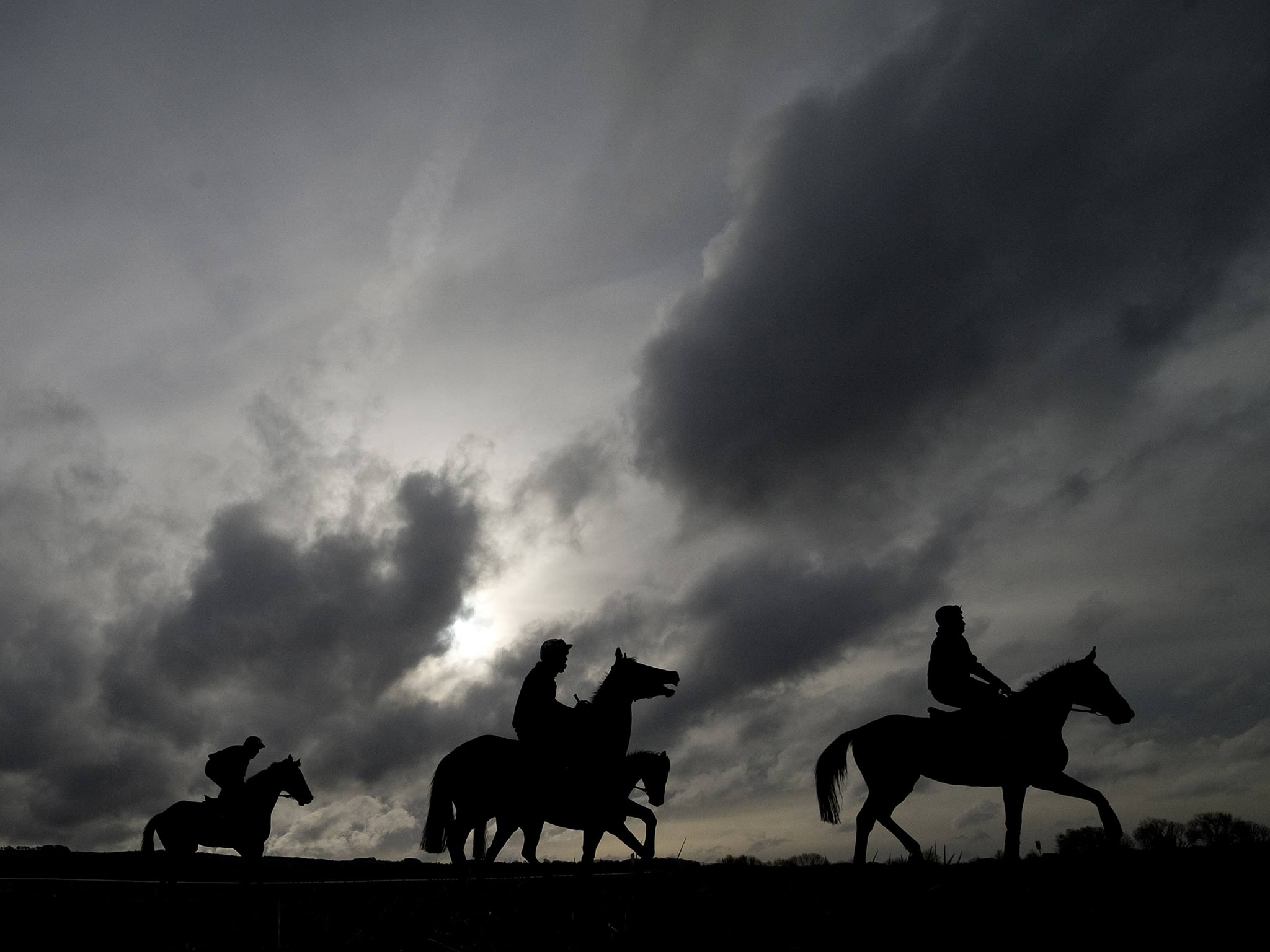 Horses prepare for Cheltenham