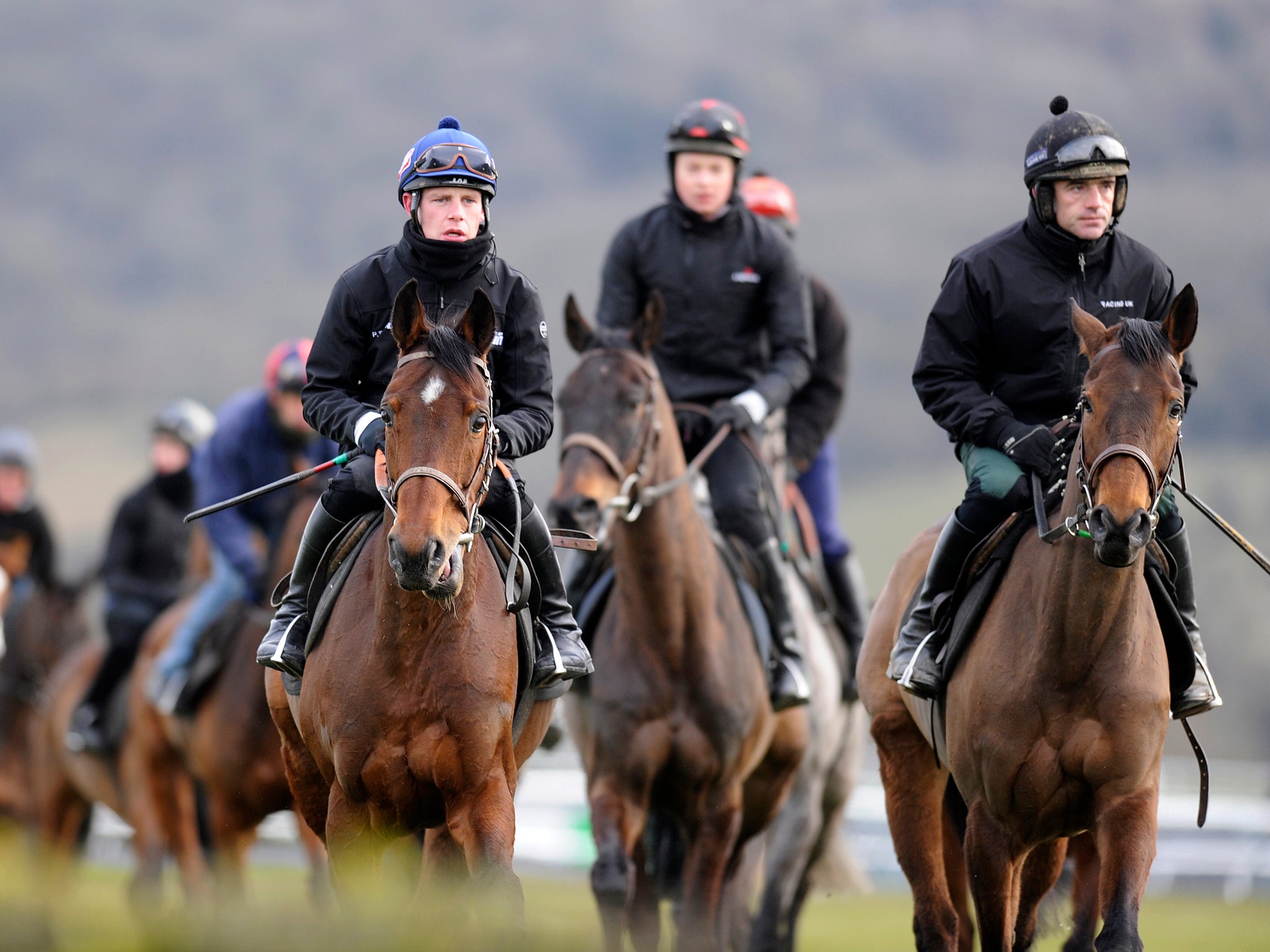 Ruby Walsh riding Quevega (R) and Paul Townend riding Hurricane Fly (L) walk round the gallops at Cheltenham racecourse