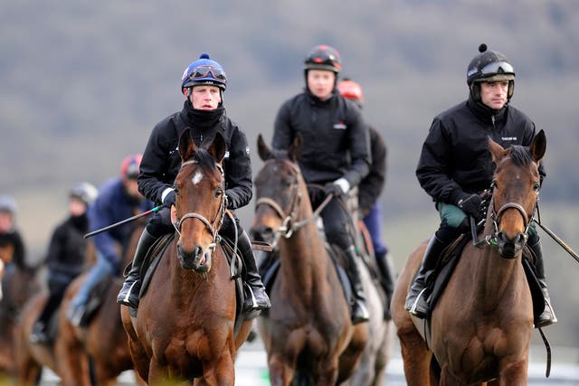 Ruby Walsh riding Quevega (R) and Paul Townend riding Hurricane Fly (L) walk round the gallops at Cheltenham racecourse