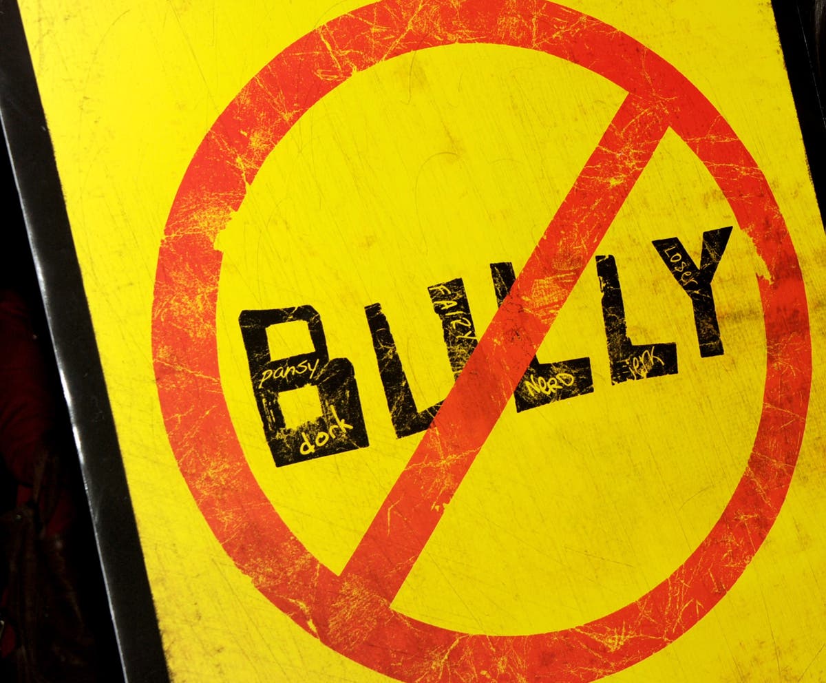 we-need-a-stricter-definition-of-bullying-the-independent-the-independent