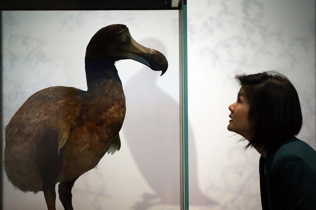Is life on Earth heading the way of the infamously extinct Dodo?