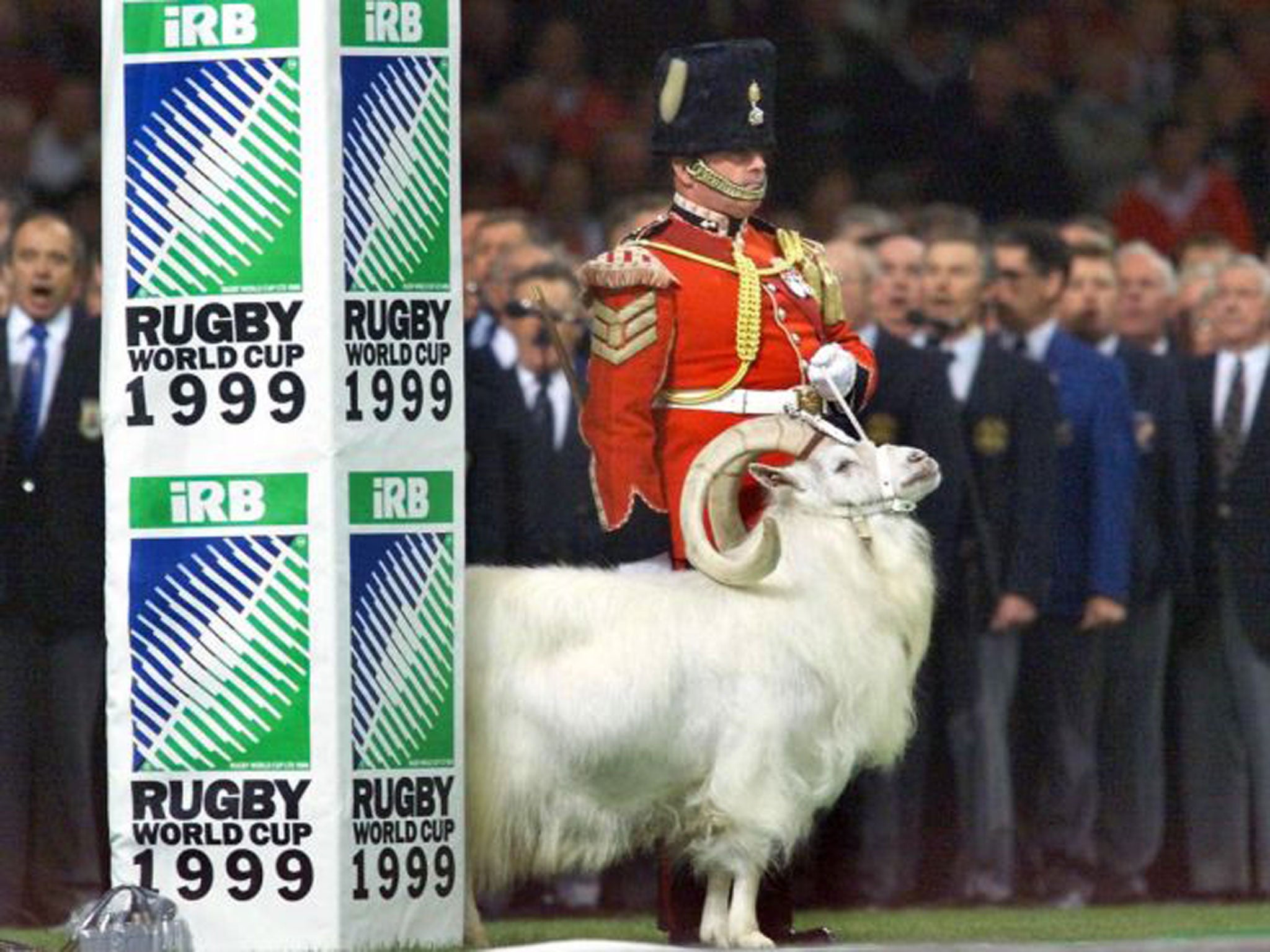 The goat mascot has a habit of upsetting the opposition