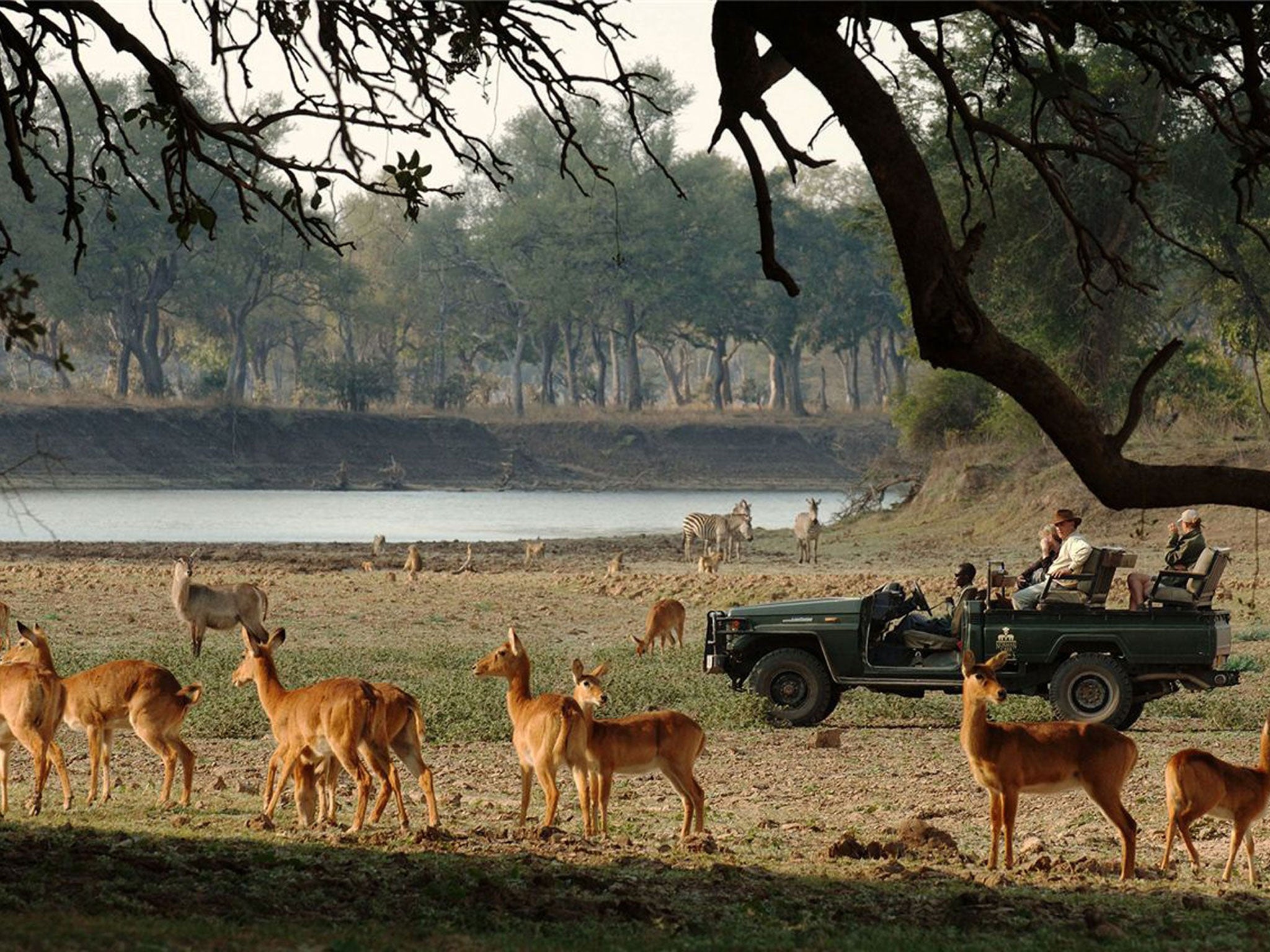 A Norman Carr walking safari in South Luangwa National Park
