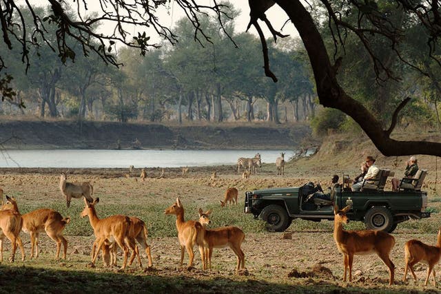 A Norman Carr walking safari in South Luangwa National Park