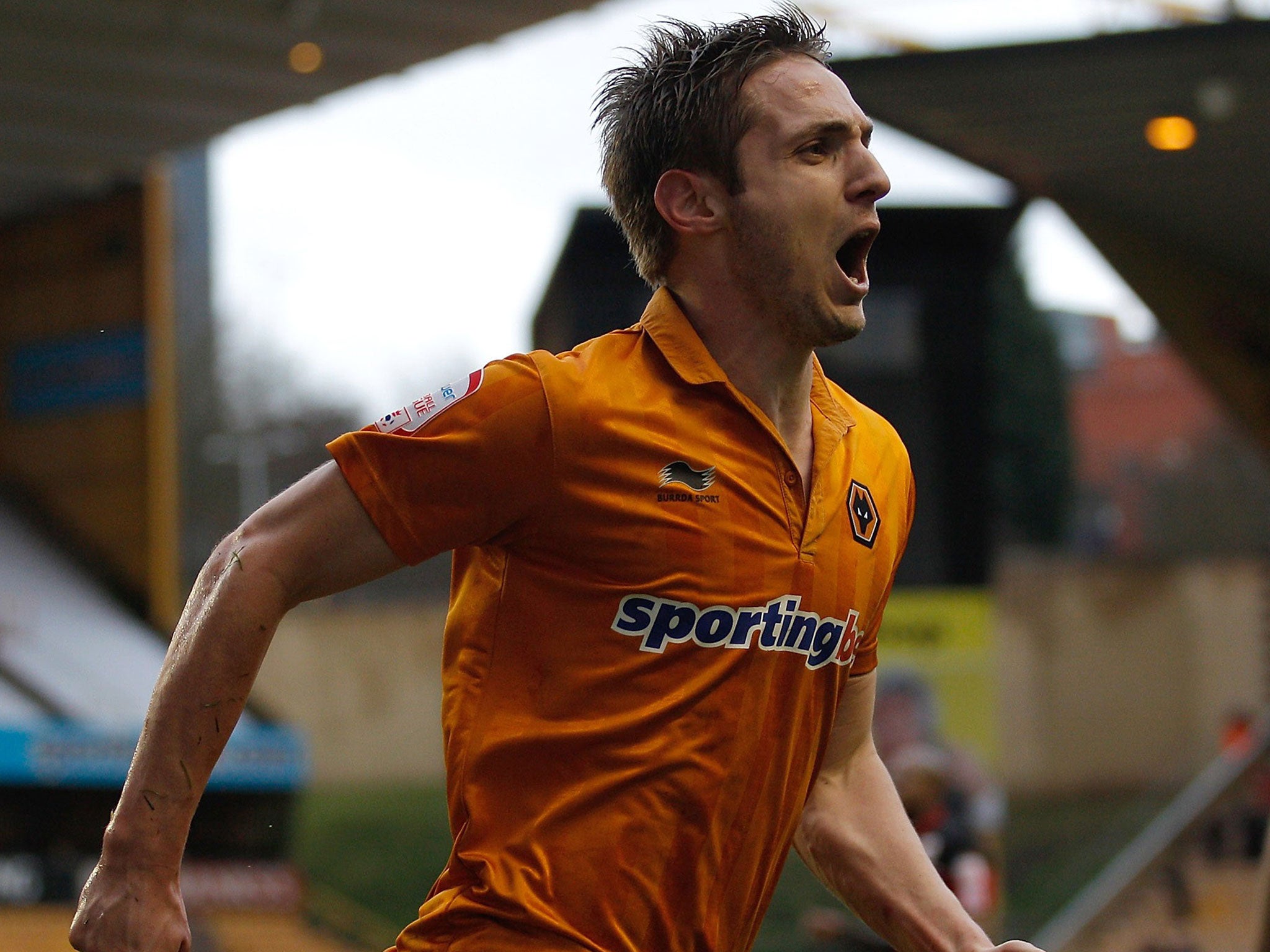 Golden boy: Kevin Doyle celebrates scoring the winning goal for Wolves