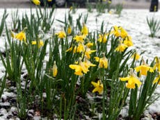 Five things you need to know about St. David’s Day