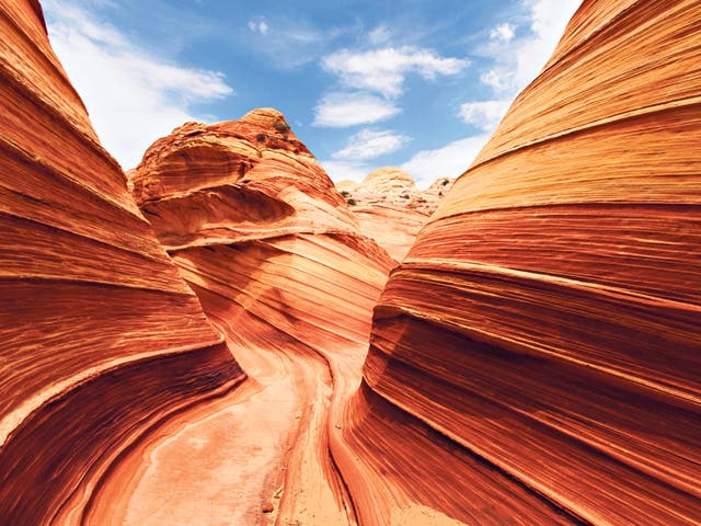 Go with the flow: the extraordinary patterns of the Wave at Coyote Buttes