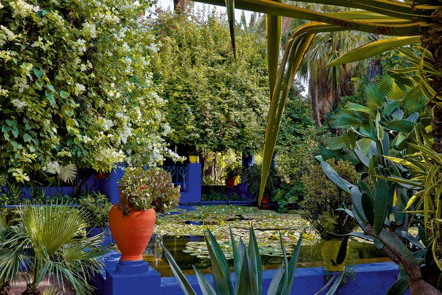 Yves Saint Laurent’s Jardin Majorelle has a saturated vibrancy of colour and such a huge botanical variety that it takes 20 gardeners to maintain: from Gardens of Marrakesh’ (£2