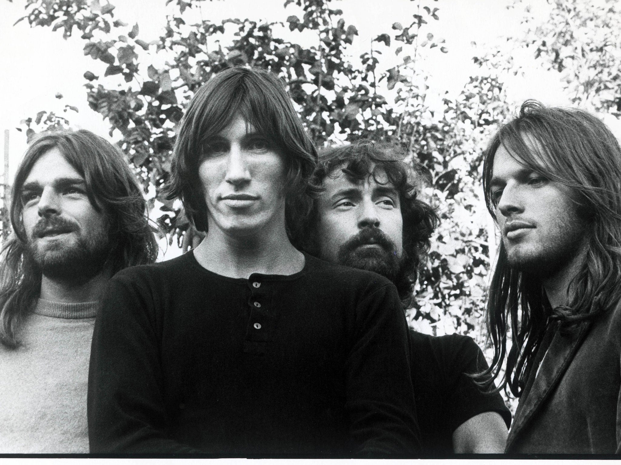 The band back in 1973