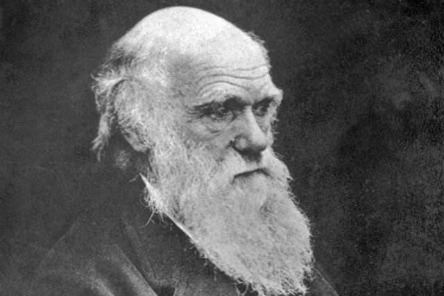 A letter in which Charles Darwin describes the death of his beloved daughter-in-law will be released by University of Cambridge