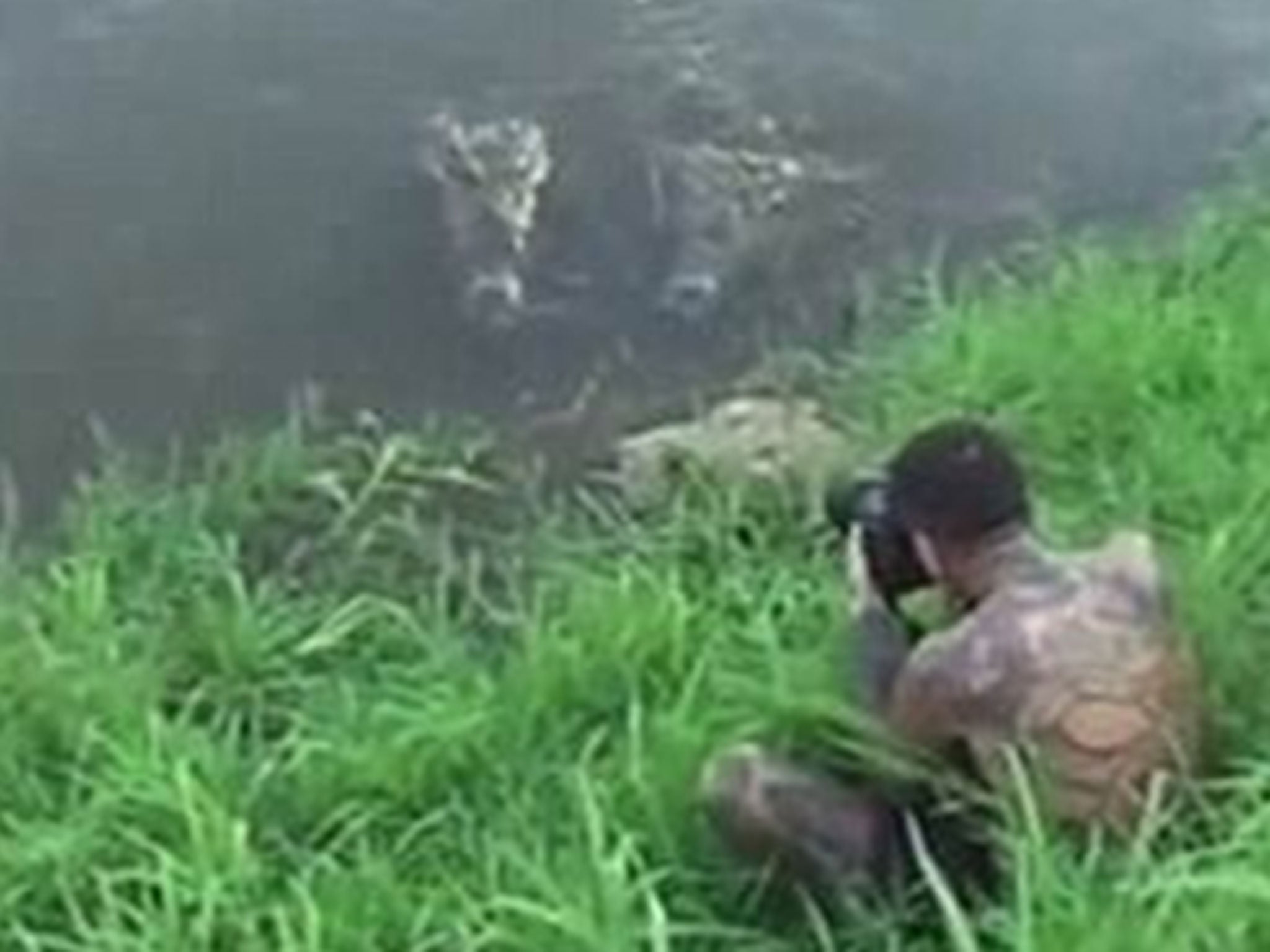 Antonio Ruiz and some friends were baiting the crocs on the banks of the Tarcoles River in Costa Rica, luring them over by throwing pieces of meat into the water