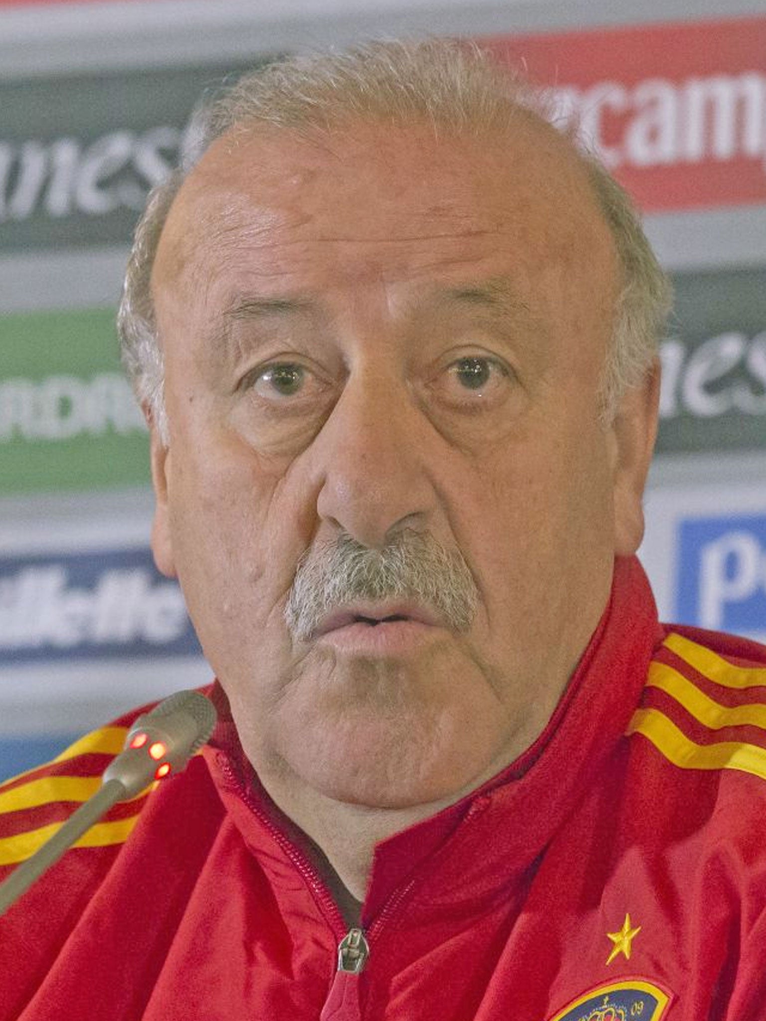Vicente del Bosque expects his Spain side to beat France tonight