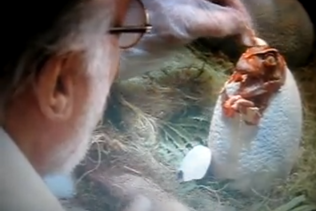 This scene from Steven Spielberg’s Jurassic Park shows the memorable moment when the first genetically engineered dinosaur hatches. 
