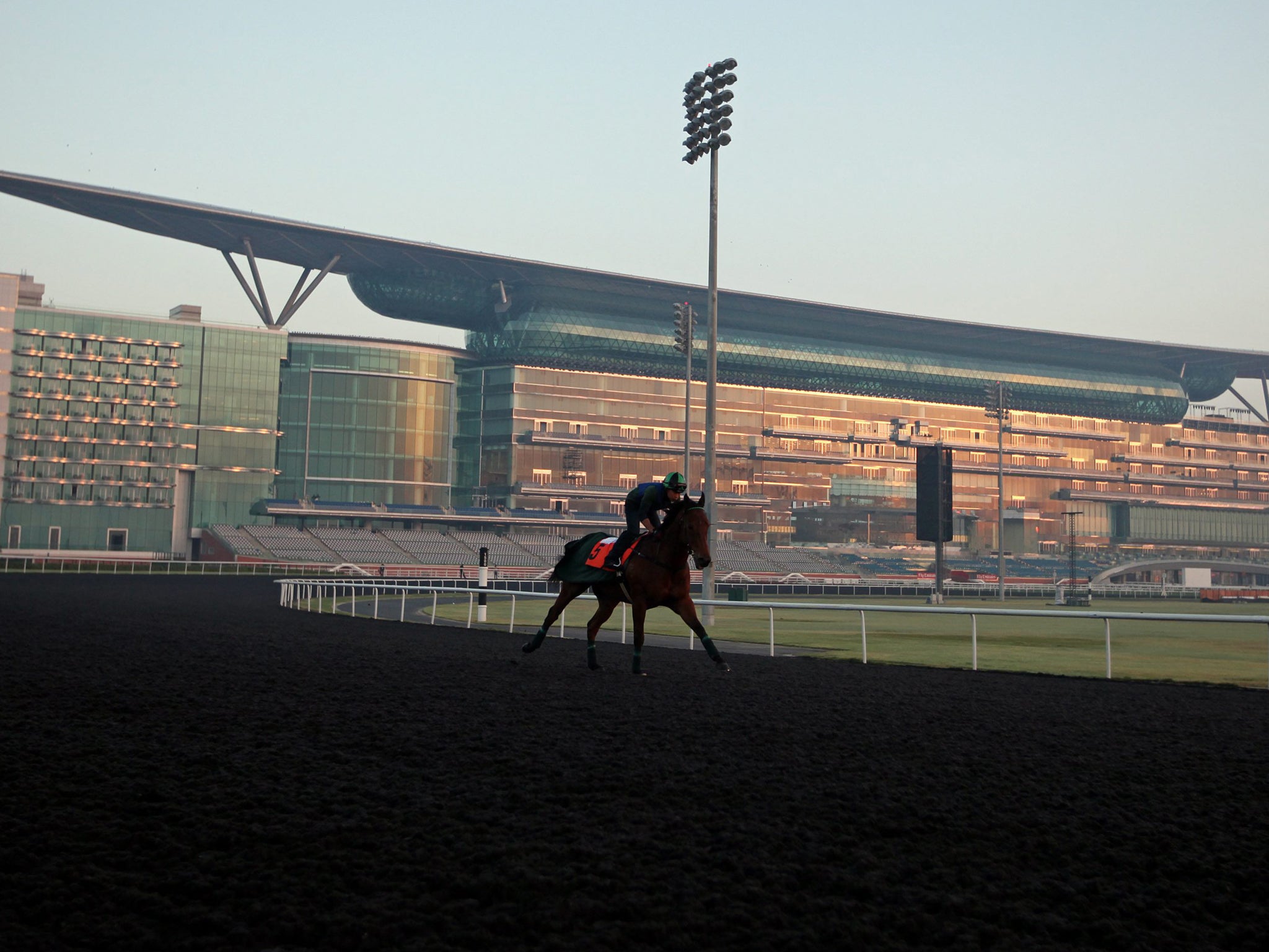 A jockey rides Hong Kong’s racehorse ‘Joy And Fun’ trained by Derek Cruz on the track of Meydan racecourse during preparations for the Dubai World Cup