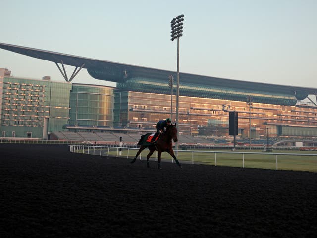 A jockey rides Hong Kong’s racehorse ‘Joy And Fun’ trained by Derek Cruz on the track of Meydan racecourse during preparations for the Dubai World Cup 