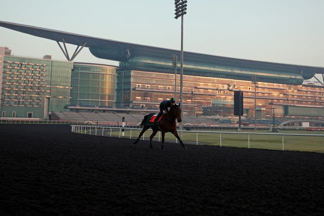 A jockey rides Hong Kong’s racehorse ‘Joy And Fun’ trained by Derek Cruz on the track of Meydan racecourse during preparations for the Dubai World Cup 