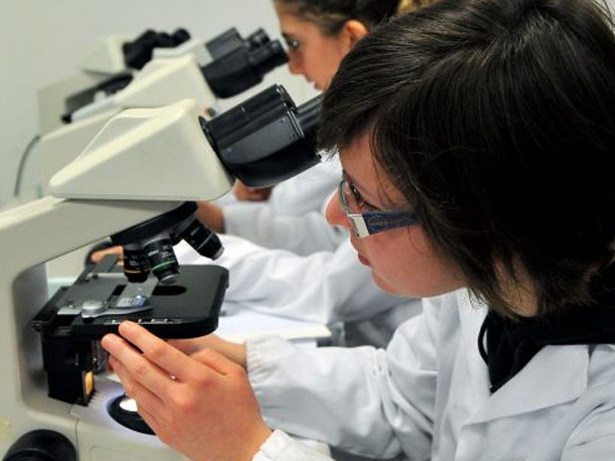 Break the mould: Science pupils