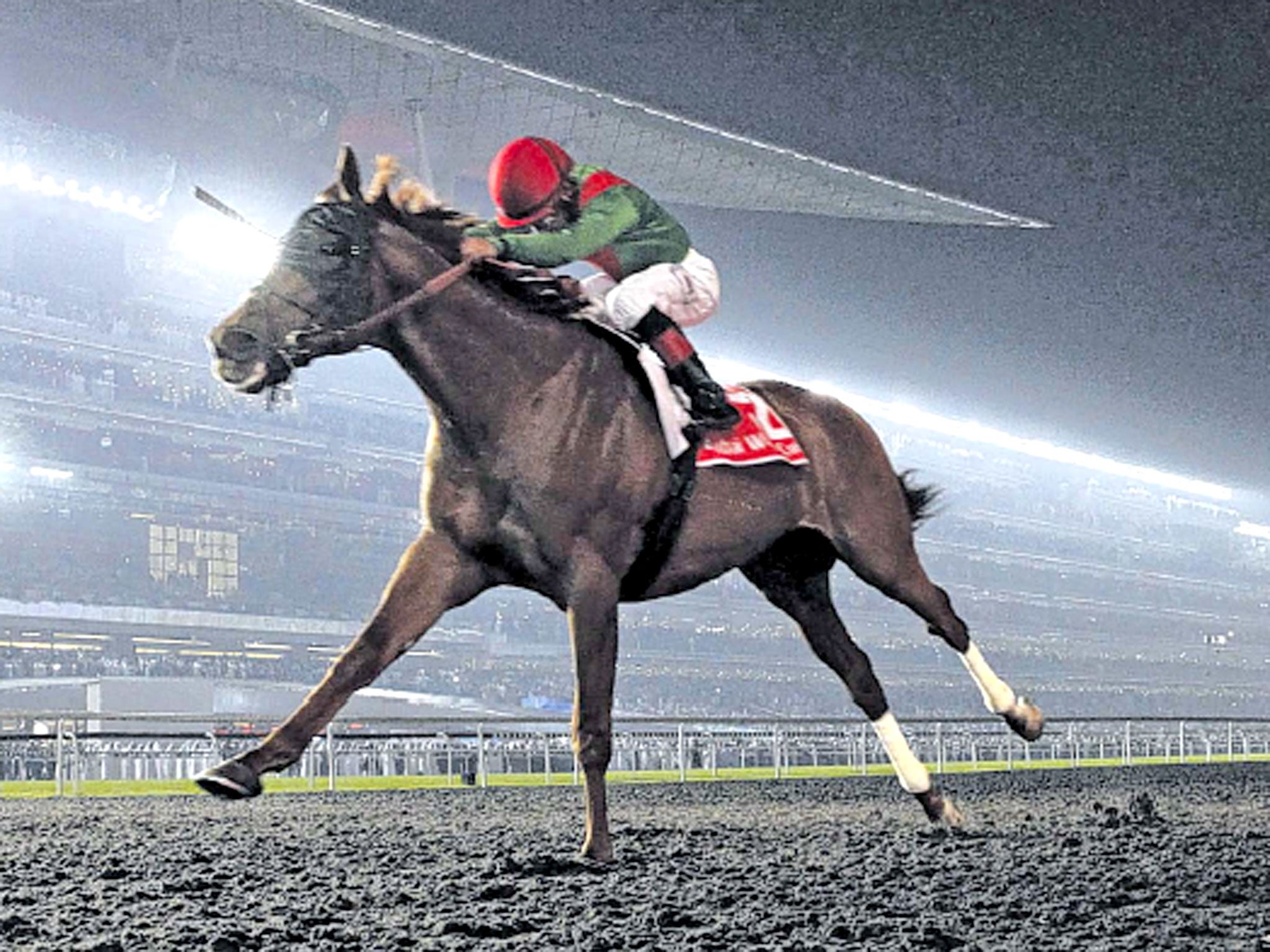 Animal Kingdom strides out to victory in Dubai under jockey Joel Rosario