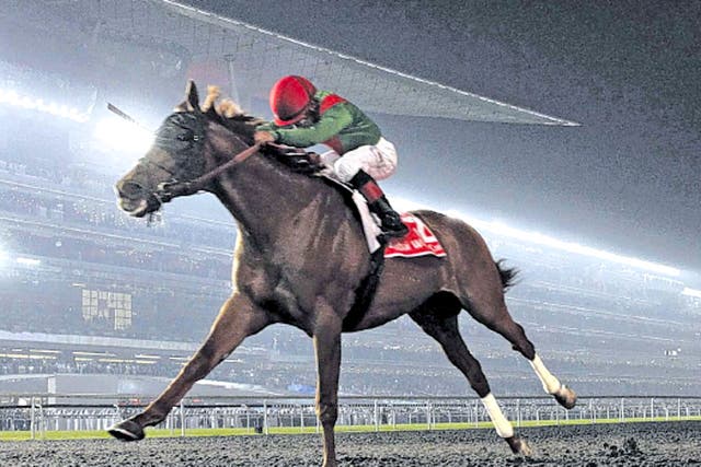Animal Kingdom strides out to victory in Dubai under jockey Joel Rosario
