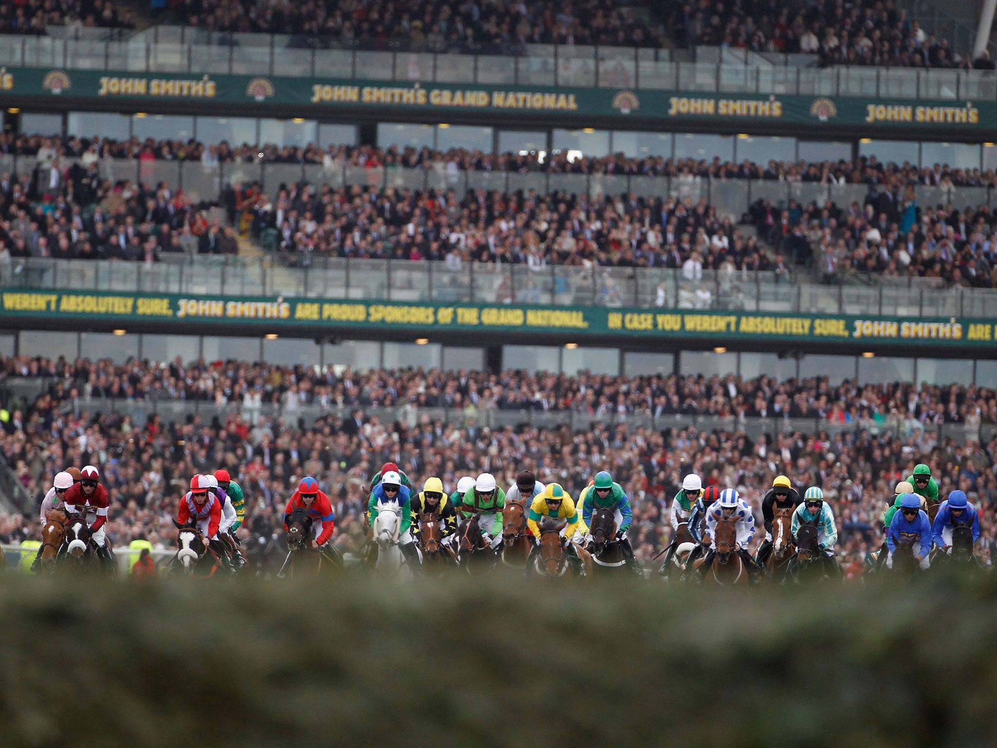 Runners heading towards the first fence during 2011 Grand National, when one horse, Ornais, broke its neck and Dooneys Gate broke its back