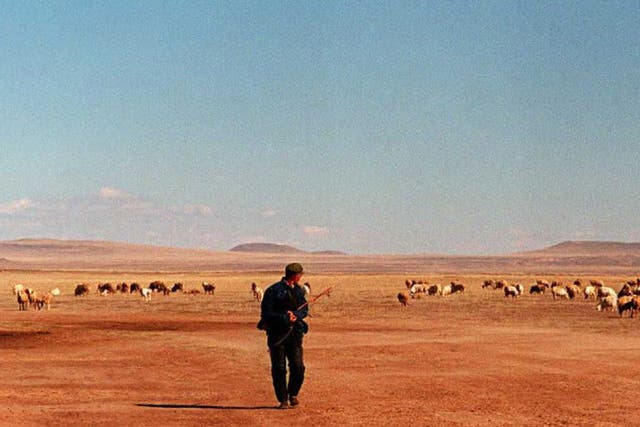 A herdsman tends his sheep on a barren pasture, in An Zhe Li Mu 15 October. As domestic animals in Inner Mongolia multiply quickly, the neglected pasture land is degenerating fast and is expected to become a desert within several years.