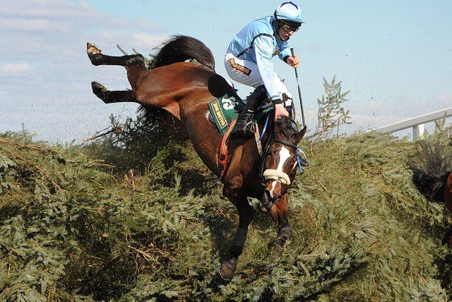 Ireland’s Stuart Crawford takes a tumble with Mourne Paddy at the Chair during the John Smith’s Fox Hunters’ Chase