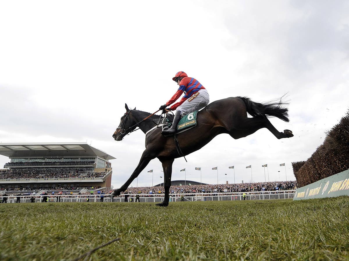 Aintree: Sprinter Sacre wins the Melling Chase | The Independent | The ...
