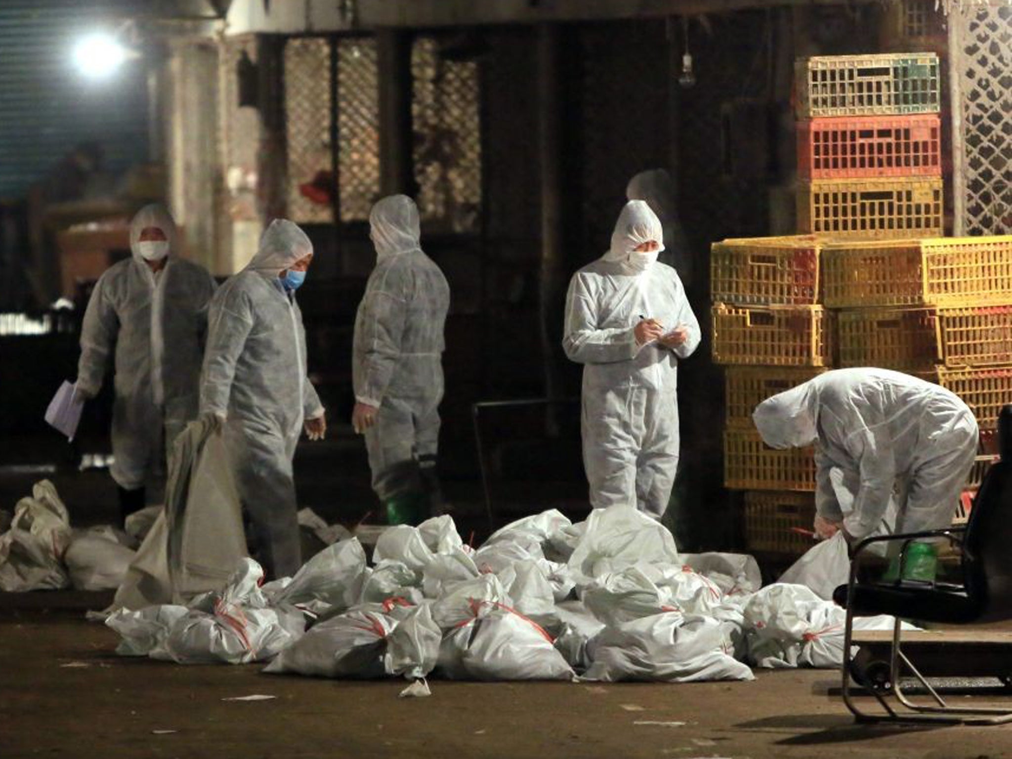 Chinese health workers collect bags of dead chickens at Huhuai wholesale agricultural market in Shanghai