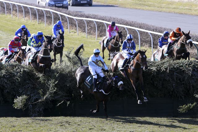 14 horses have died at Becher's Brook (pictured) but 27 horses have died at Taxis Ditch in the Velka Pardubicka in the Czech Republic