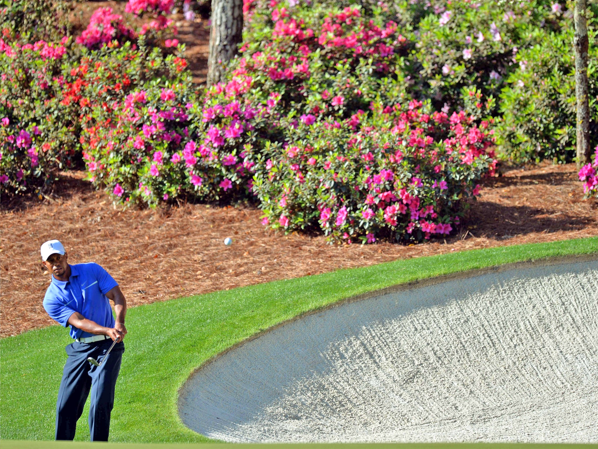 Tiger Woods during a practice round at the picturesque Augusta club on Wednesday