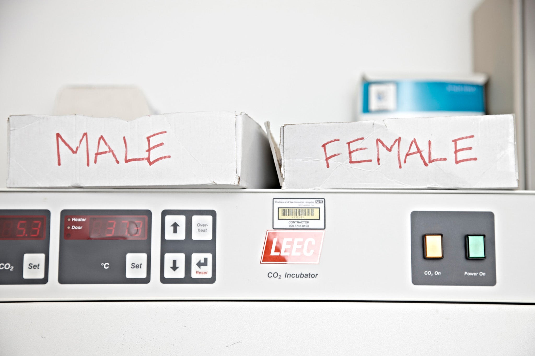 Channel 4's 'The Sex Clinic'